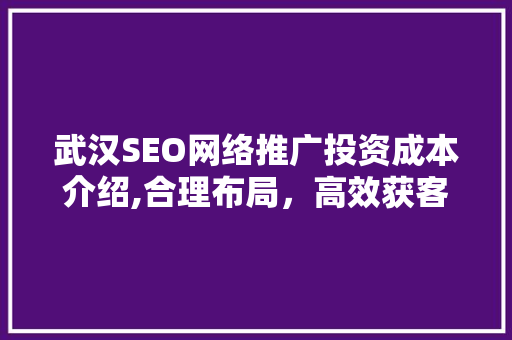 武汉SEO网络推广投资成本介绍,合理布局，高效获客