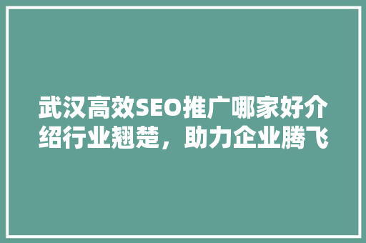 武汉高效SEO推广哪家好介绍行业翘楚，助力企业腾飞