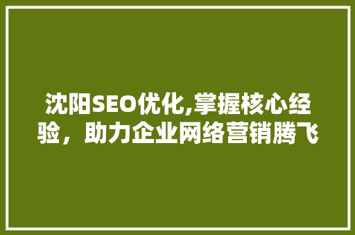 沈阳SEO优化,掌握核心经验，助力企业网络营销腾飞
