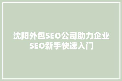 沈阳外包SEO公司助力企业SEO新手快速入门