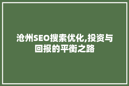 沧州SEO搜索优化,投资与回报的平衡之路