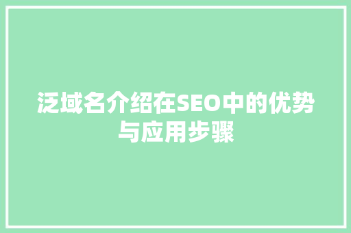 泛域名介绍在SEO中的优势与应用步骤