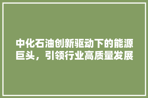 中化石油创新驱动下的能源巨头，引领行业高质量发展