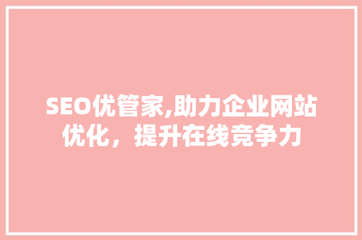 SEO优管家,助力企业网站优化，提升在线竞争力