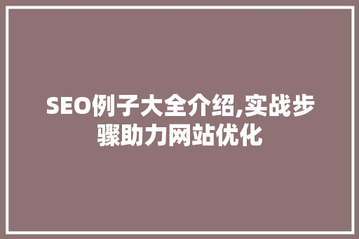 SEO例子大全介绍,实战步骤助力网站优化