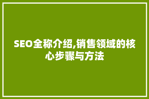SEO全称介绍,销售领域的核心步骤与方法