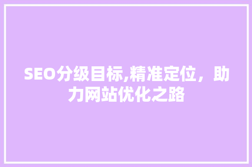SEO分级目标,精准定位，助力网站优化之路