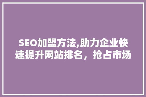 SEO加盟方法,助力企业快速提升网站排名，抢占市场先机