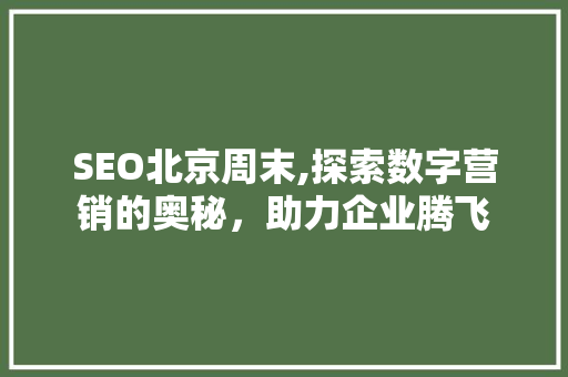 SEO北京周末,探索数字营销的奥秘，助力企业腾飞