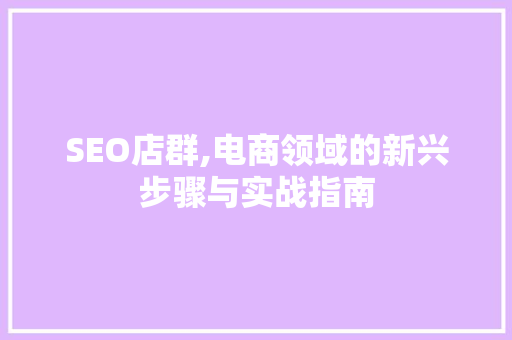 SEO店群,电商领域的新兴步骤与实战指南