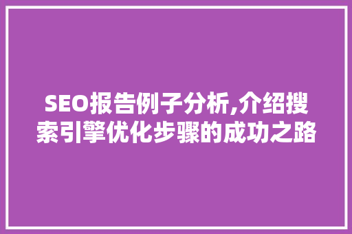 SEO报告例子分析,介绍搜索引擎优化步骤的成功之路