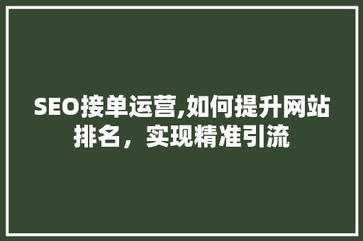 SEO接单运营,如何提升网站排名，实现精准引流