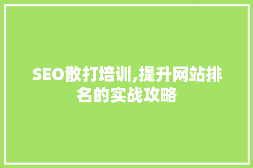 SEO散打培训,提升网站排名的实战攻略