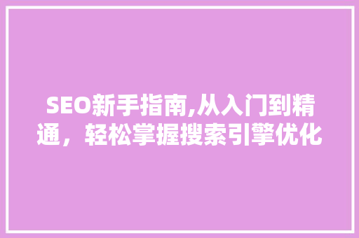 SEO新手指南,从入门到精通，轻松掌握搜索引擎优化营销