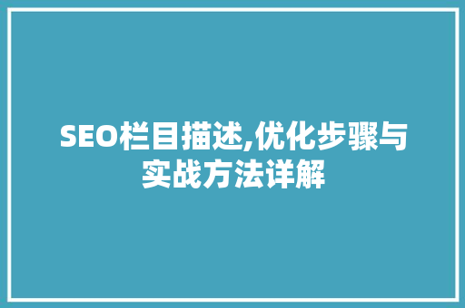 SEO栏目描述,优化步骤与实战方法详解
