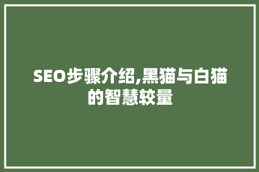 SEO步骤介绍,黑猫与白猫的智慧较量