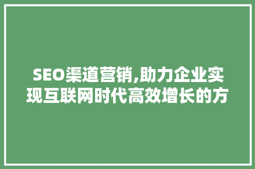 SEO渠道营销,助力企业实现互联网时代高效增长的方法
