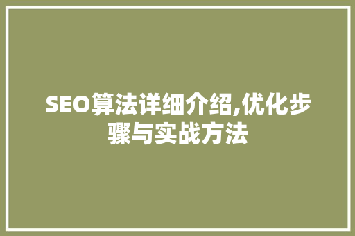 SEO算法详细介绍,优化步骤与实战方法