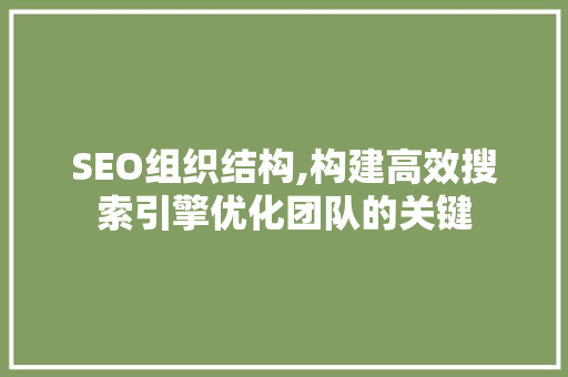 SEO组织结构,构建高效搜索引擎优化团队的关键