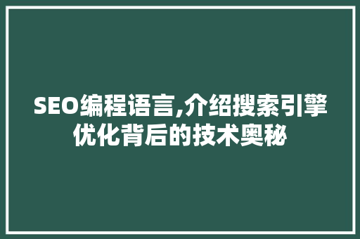 SEO编程语言,介绍搜索引擎优化背后的技术奥秘