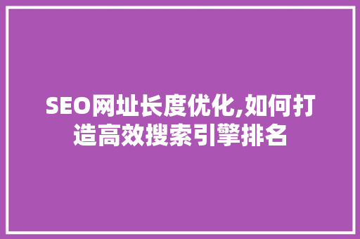 SEO网址长度优化,如何打造高效搜索引擎排名
