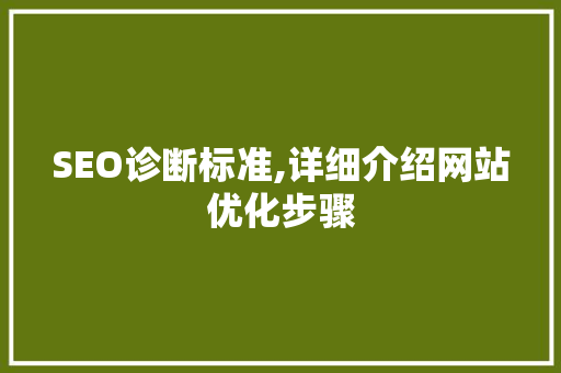SEO诊断标准,详细介绍网站优化步骤