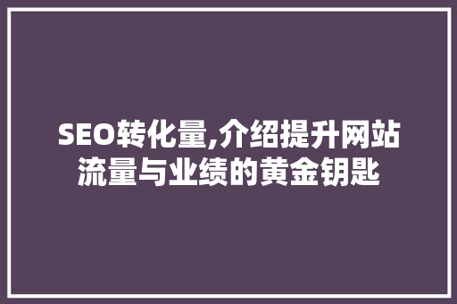 SEO转化量,介绍提升网站流量与业绩的黄金钥匙