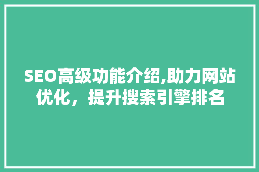 SEO高级功能介绍,助力网站优化，提升搜索引擎排名