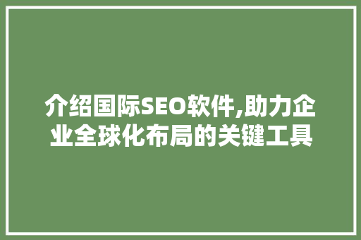 介绍国际SEO软件,助力企业全球化布局的关键工具