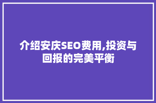 介绍安庆SEO费用,投资与回报的完美平衡