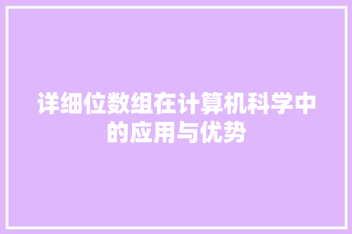 详细位数组在计算机科学中的应用与优势