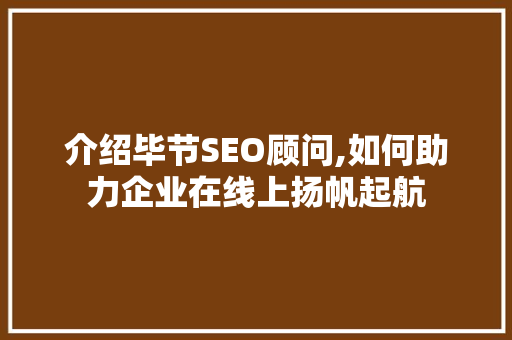 介绍毕节SEO顾问,如何助力企业在线上扬帆起航