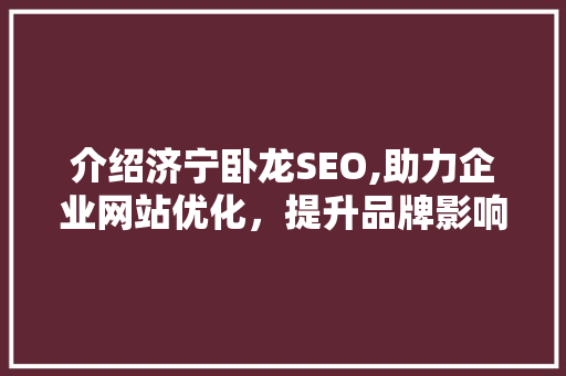 介绍济宁卧龙SEO,助力企业网站优化，提升品牌影响力