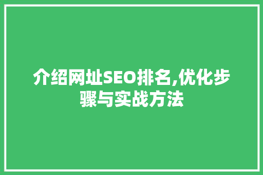 介绍网址SEO排名,优化步骤与实战方法