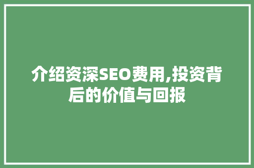 介绍资深SEO费用,投资背后的价值与回报