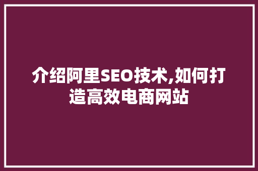 介绍阿里SEO技术,如何打造高效电商网站