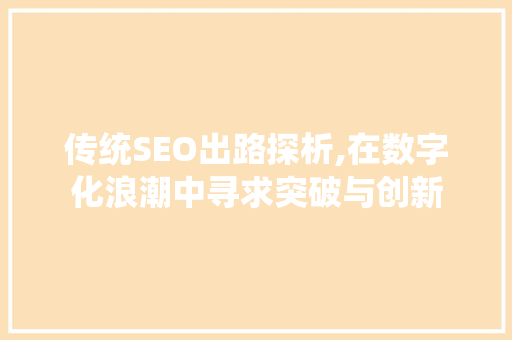 传统SEO出路探析,在数字化浪潮中寻求突破与创新