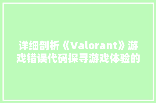 详细剖析《Valorant》游戏错误代码探寻游戏体验的瑕疵与改进之路