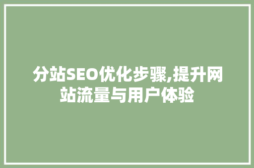 分站SEO优化步骤,提升网站流量与用户体验