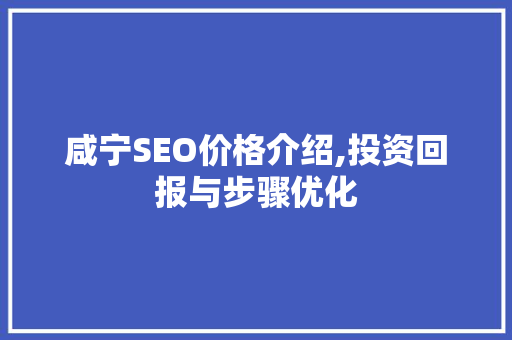 咸宁SEO价格介绍,投资回报与步骤优化