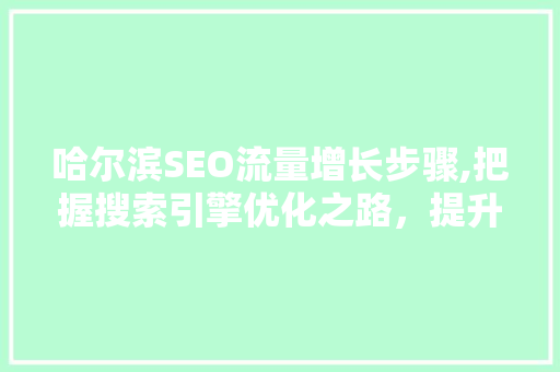 哈尔滨SEO流量增长步骤,把握搜索引擎优化之路，提升网站排名