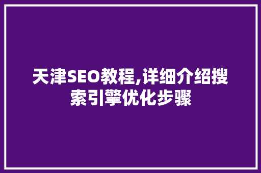 天津SEO教程,详细介绍搜索引擎优化步骤  第1张