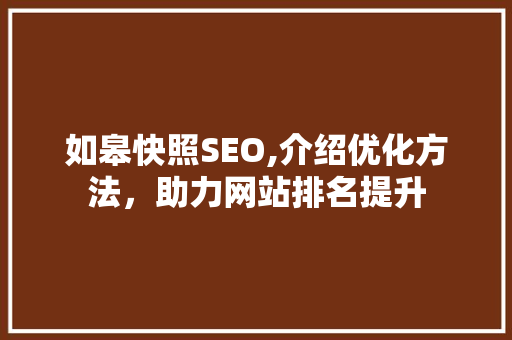 如皋快照SEO,介绍优化方法，助力网站排名提升