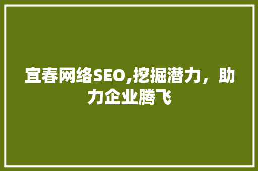 宜春网络SEO,挖掘潜力，助力企业腾飞