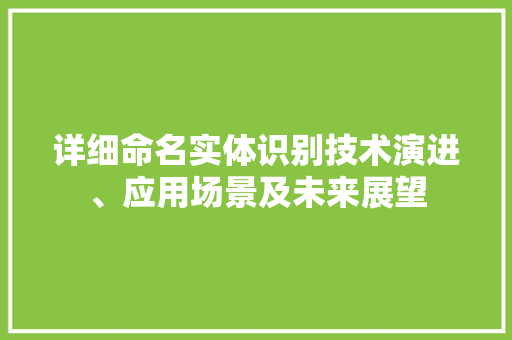 详细命名实体识别技术演进、应用场景及未来展望