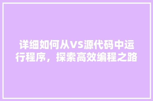 详细如何从VS源代码中运行程序，探索高效编程之路