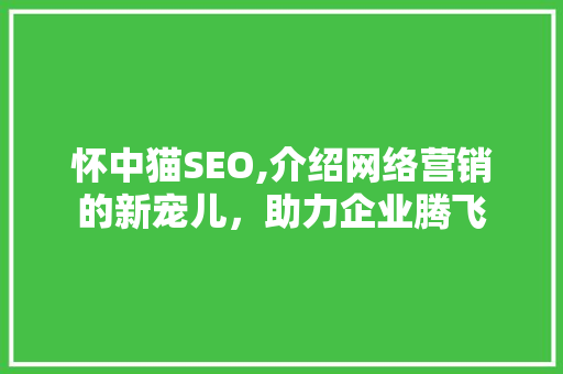怀中猫SEO,介绍网络营销的新宠儿，助力企业腾飞