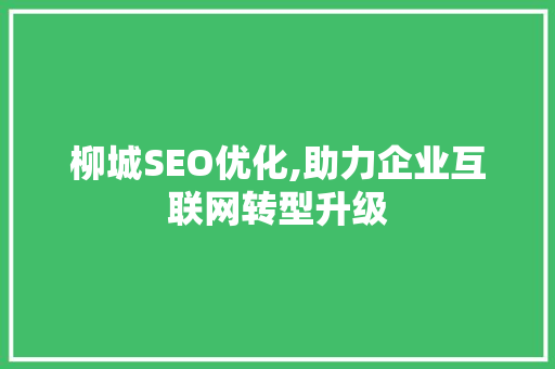 柳城SEO优化,助力企业互联网转型升级