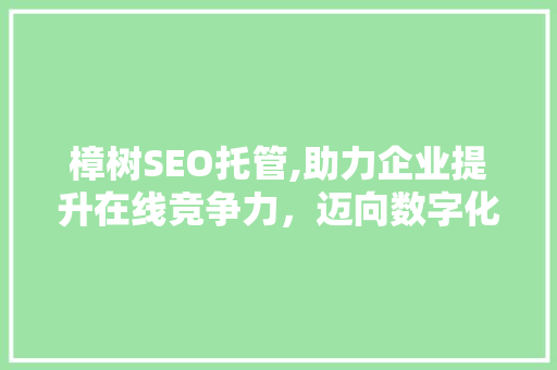 樟树SEO托管,助力企业提升在线竞争力，迈向数字化未来