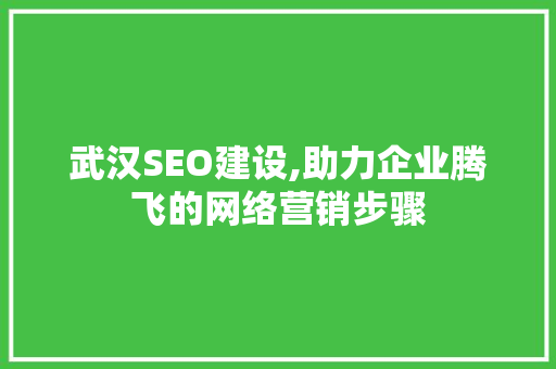 武汉SEO建设,助力企业腾飞的网络营销步骤